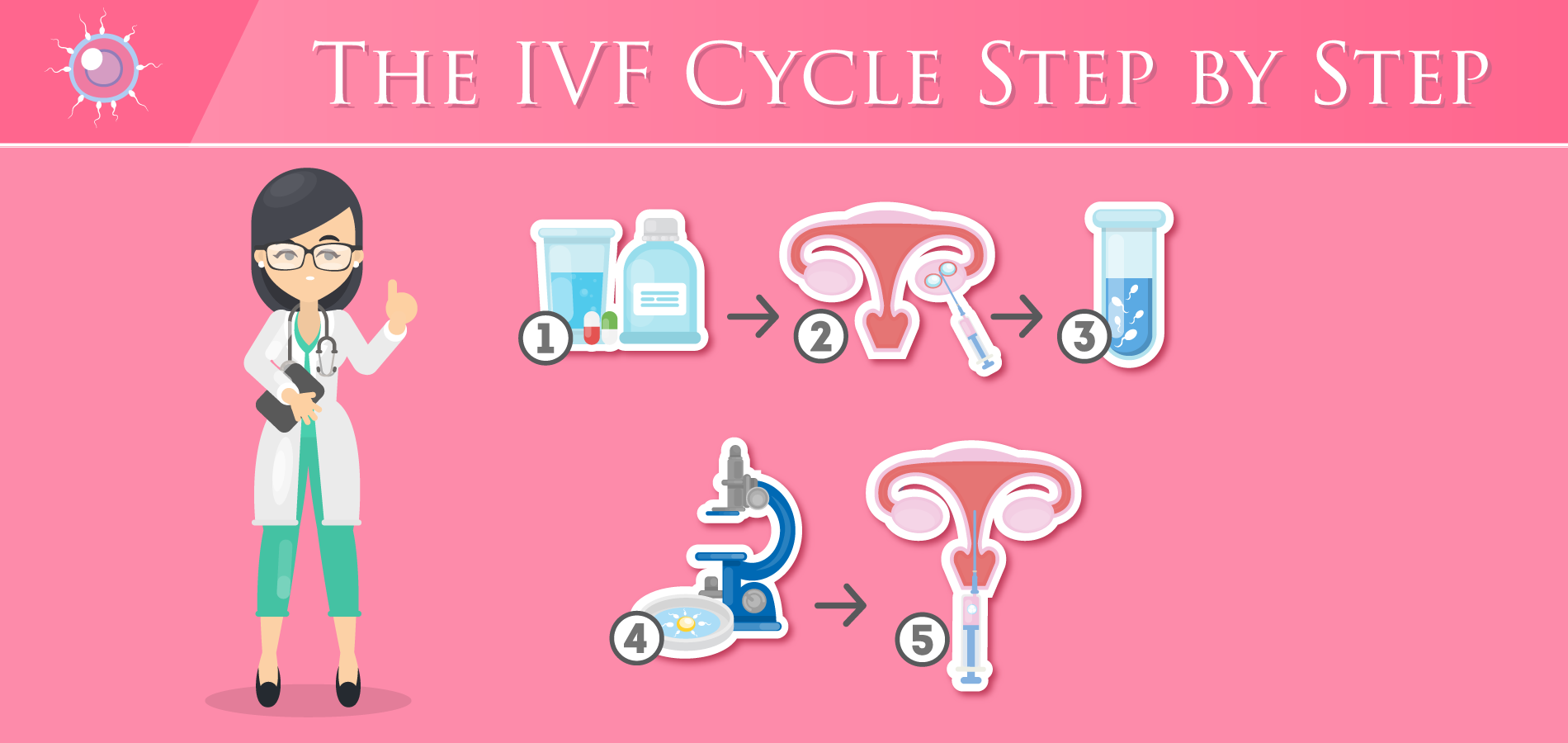 What is an IVF Cycle? [Explained Step by Step]
